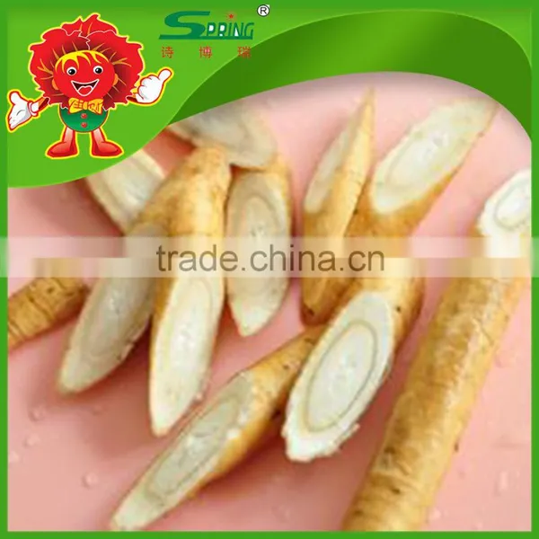 High Quality Chinese Fresh Burdock, Best Natural Burdock Root for Export photo-3