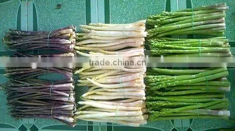 FRESH ASPARAGUS
