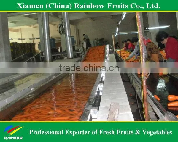 Fresh Vegetable