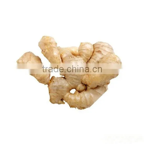 Hot Sale Organic 2016 Fresh Ginger
