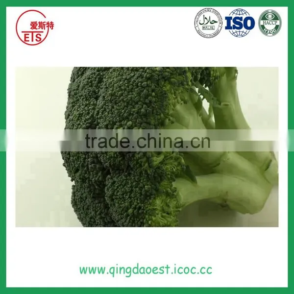 Bulk Chinese Cleaning Broccoli photo-3