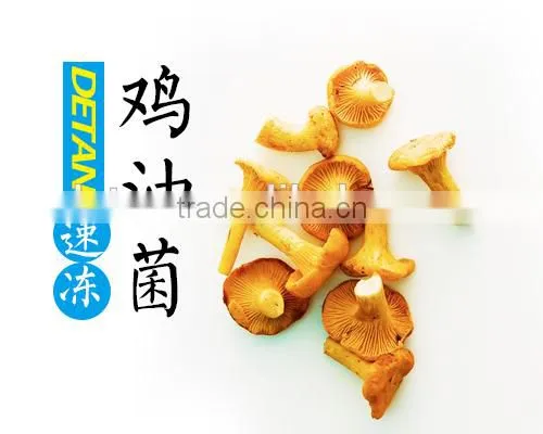 Frozen Chanterelles Best Price photo-2