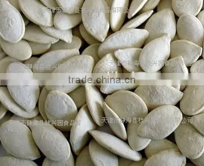 Sell Roasted-salted Pumpkin Seeds With Good Quality photo-3