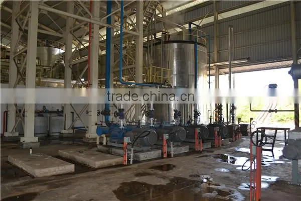 Large Energy Saving Edible Palm Kernel Oil Press Machine Spiral Press Machinery photo-3