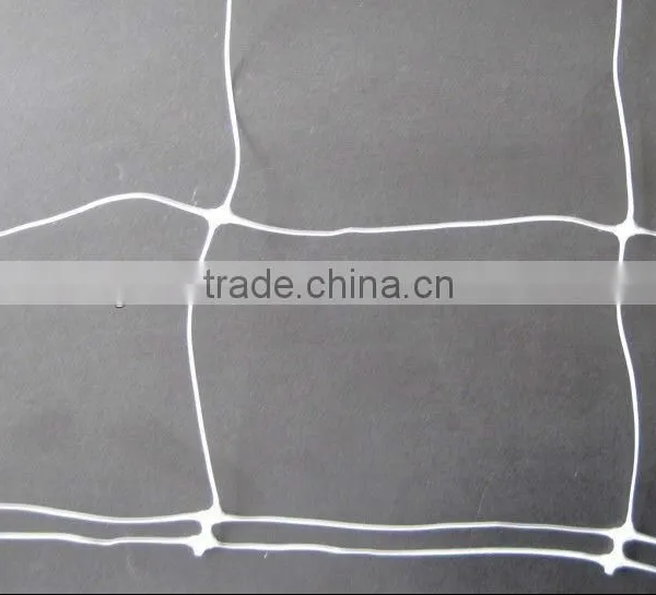 Agriculture Plant Climbing Support Net for Melon photo-3
