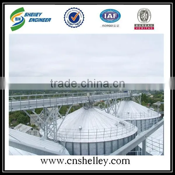 Peanut Grain Chain Conveyor for Sale photo-3
