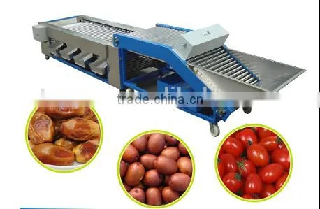 THOYU Brand Stainless Steel Dates Fruit Grading Machine by Size(0086 15937167907) photo-2