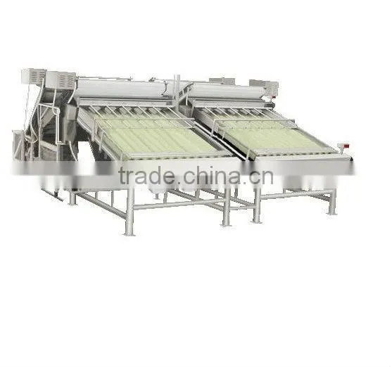 Shrimp Grading Machine Shrimp Grader