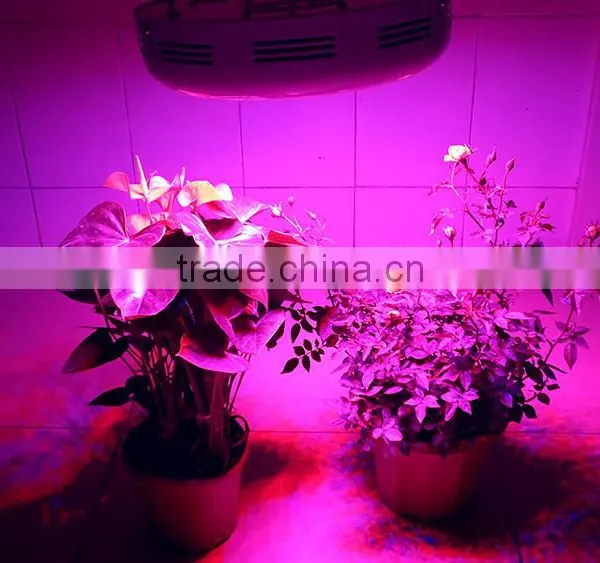 300W UFO Full Spectrum Grow Lights Led Plant Lamps With UV/IR Led Bulbs for Indoor Garden/Hydroponic System photo-5