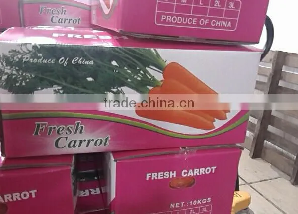 Wholesale Chinese Fresh Carrots With High Quality and Good Price photo-2