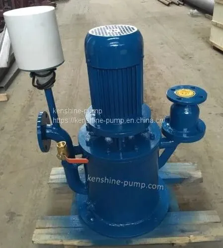 LRY Vertical Heat Conduction Oil Pump High Temperature Vertical Oil Pump photo-3