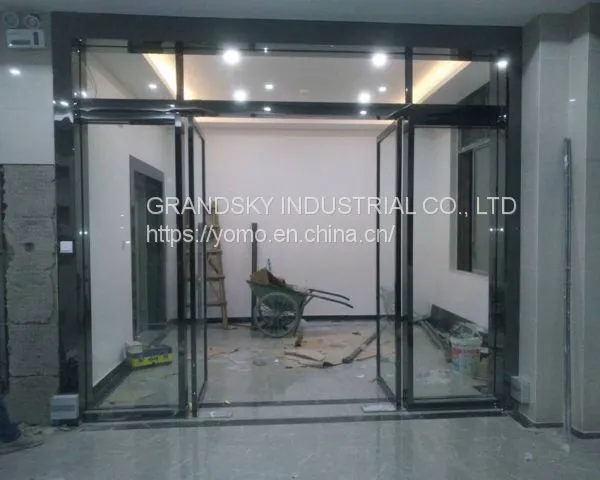 The Hot Sale Swing Automatic Door DSW-93 photo-2