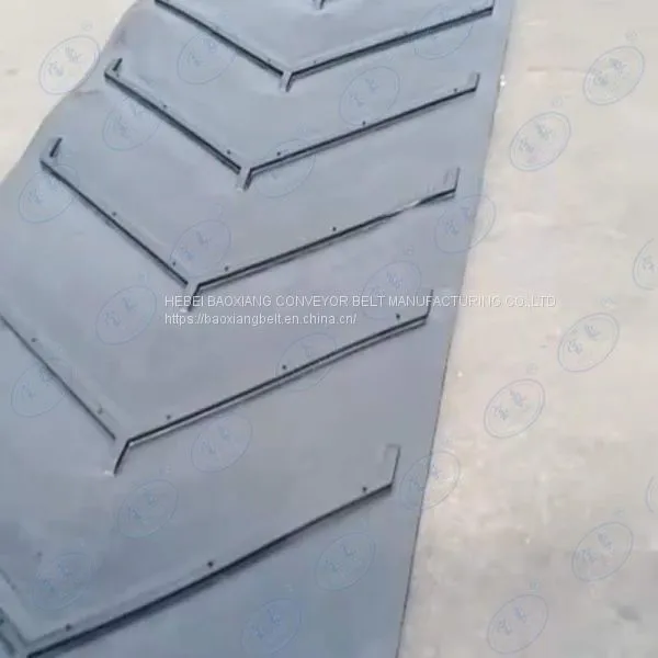 Polyester Conveyor Belt Inflammable Conveyor Belt Alkali Resistant Conveyor Belt General Conveyor Belt photo-3