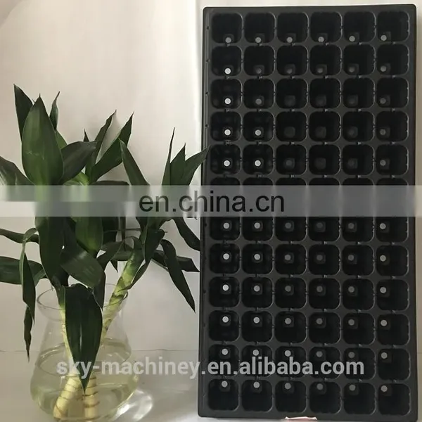 72 Cell Seeding Tray photo-4