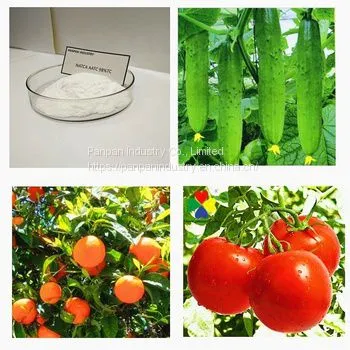 Factory Supply Agricultural Grade Foliar Fertilizer Natca 98%tc Powder Natca for Fruit Setting photo-2