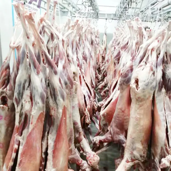 Automatic Sheep Slaughter Machine Carcass Processing Conveyor For Sheep Slaughterhouse photo-4