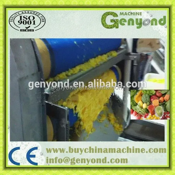 Small Capacity Apple Belt Press for Apple Juice photo-6