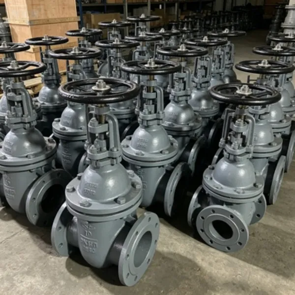 Flanged DIN 3352 Gate Valve in 316 Stainless Steel, Full Port, PN25 Rated photo-2