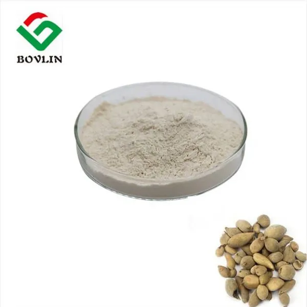 Galla Chinensis Extract