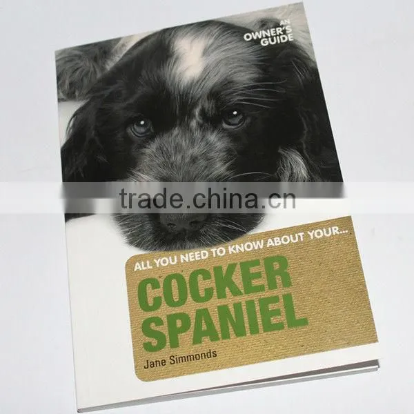 Print Magazine, Cheap Magazine Printing Companies photo-4