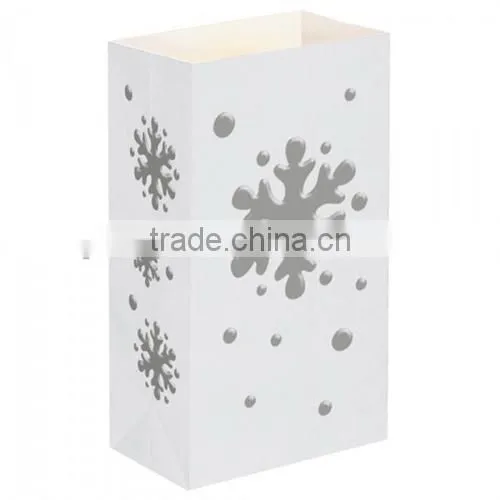 Excellent Quality Best Selling Diy Luminary Bags photo-2