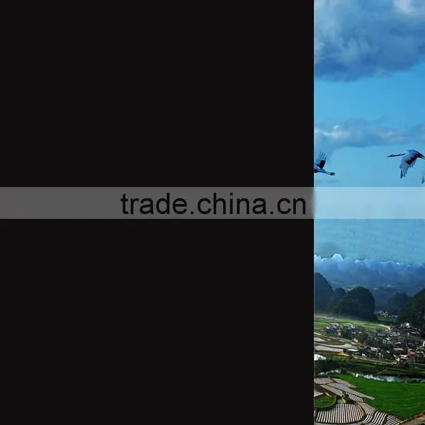 Factory Supply Hot Sale Adhesive Black Static Window Film photo-3