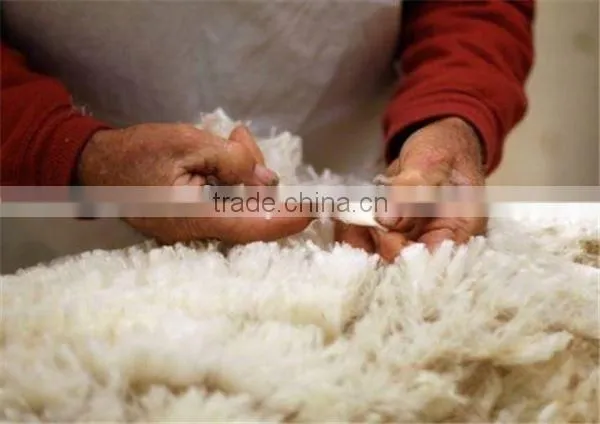 Best Selling Electric Wool Washing Machine for Sale photo-6