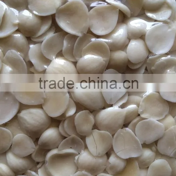 Supply Blanched Apricot Kernels (longwang Type,Youyi Type) photo-3