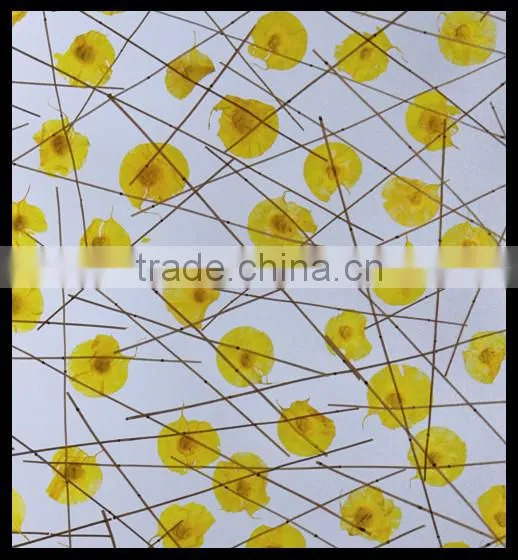 Gingko Leaf Wall Decoration Translucent Acrylic Material photo-2