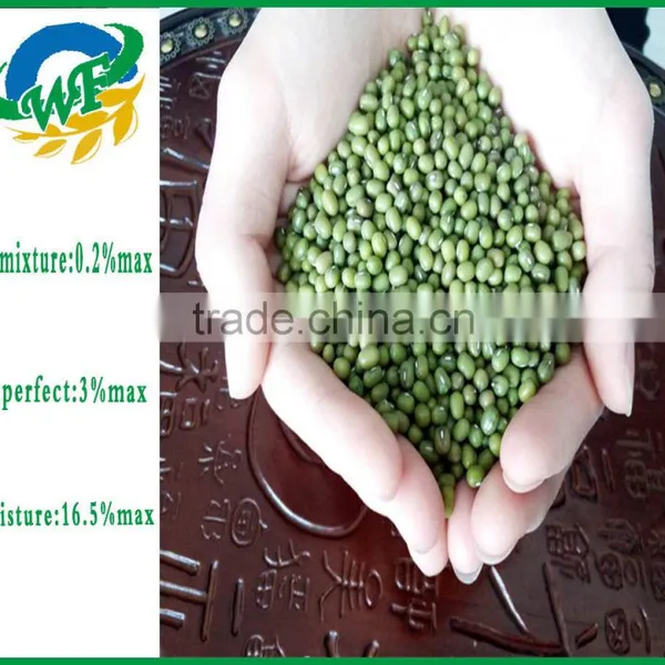 High Quality Organic Green Mung Beans for Sale photo-3