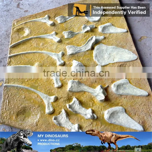 MY Dino-O11 Dinosaur Park Equipment Dinosaur Fossil Excavation Kit photo-2