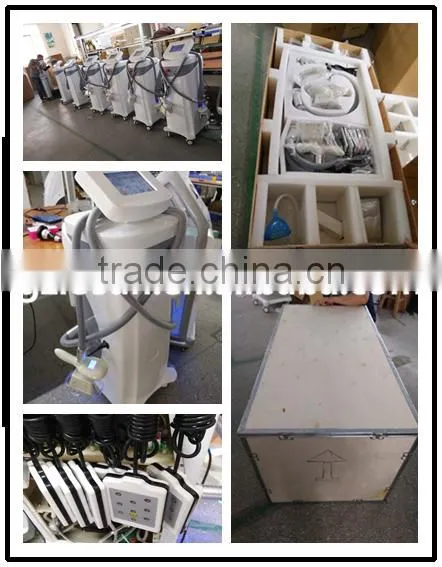 Best Products Cryolipolysis Cool Shape Machine/portable Cryolipolysis Machine Beco photo-5