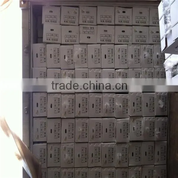 South Products Fresh Raddish To Canada photo-2