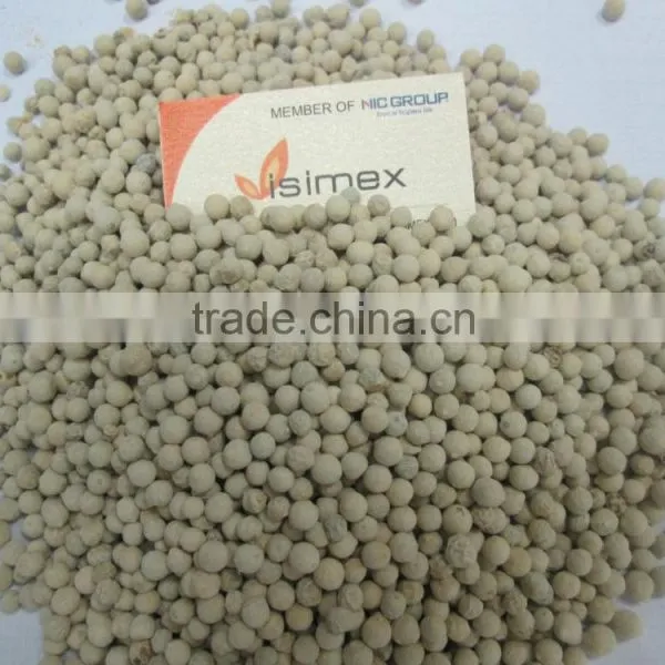 VIETNAM HIGH QUALITY WHITE PEPPER photo-4
