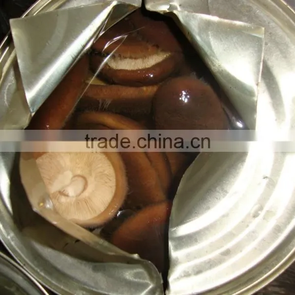 Canned Shiitake Mushroom Shiitake in Tin Price for Shiitake