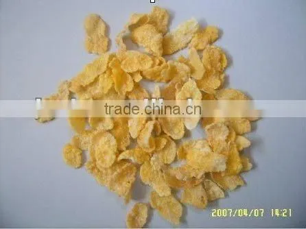 Small Capacity Corn Oatmeal Flakes Manufacturing Machinery photo-3