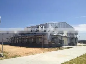 Broiler Chicken House photo-6