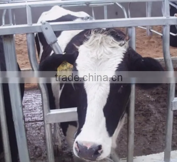 Hot Dip Galvanized Cow Fence With Best Quality photo-3