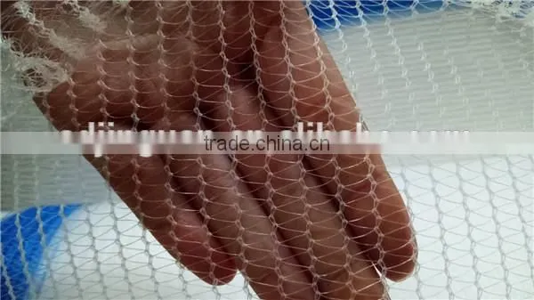 Orchard Anti-hail Net(professional Factory,reasonable Price With High Quality) photo-5