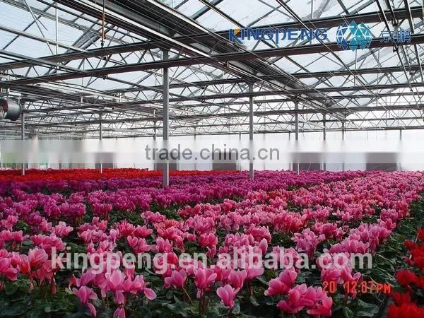 Greenhouse for Growing Flowers photo-4