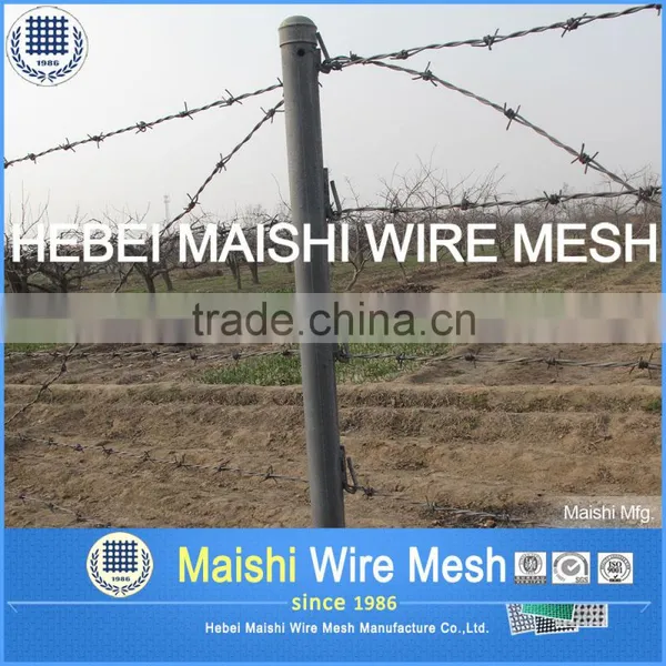 Widely Used Razor Barbed Wire photo-3