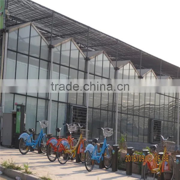 2016 Multi-span Glass Water Saving Green House photo-4