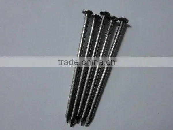 7 Inch Wire Nail Standard Iron Nails Metal Nails From Supplier photo-2