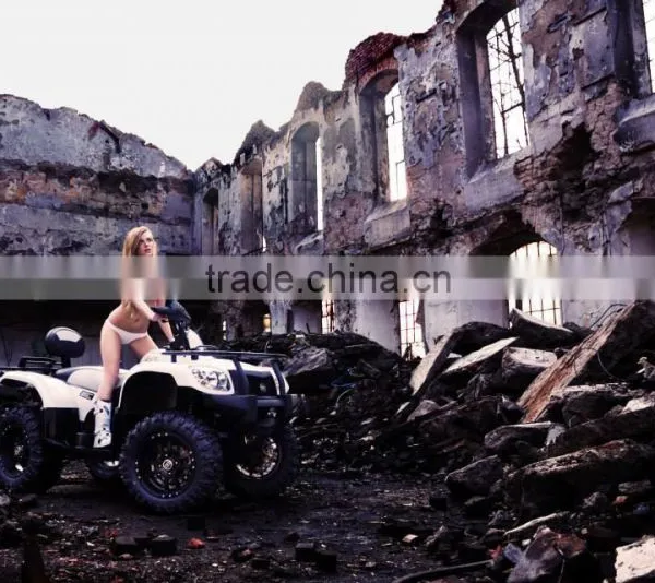 QUAD BIKE 500 photo-2