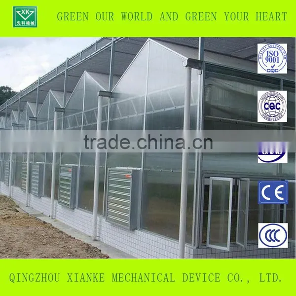 Agriculture Galvanized Steel Structure Greenhouse for Planting photo-3