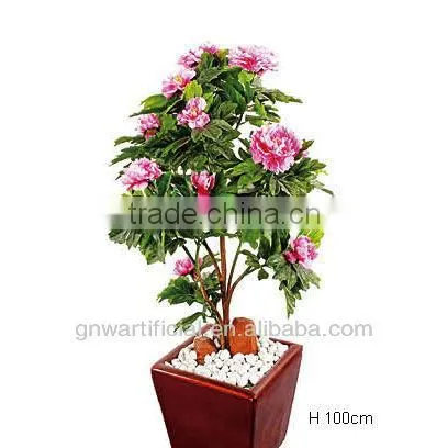 Ficus Microcarpa Bonsai Bonsai Tree Indoor Plant GNW G142 photo-2