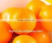 Perfume Sweet Orange Oil Fragrance photo-2