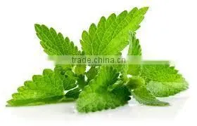 Patchouli Oil