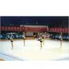 Artistic Gymnastics Floor, Artistic Gym Fields, Artistic Gymnastic Mat