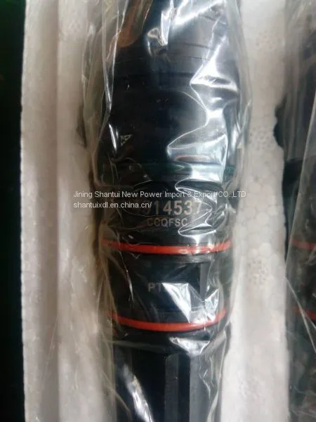 Original Cummins NT855 Injector Assembly 4914537 From China Cummins Factory photo-2